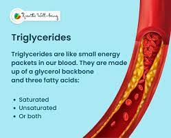 what are triglycerides