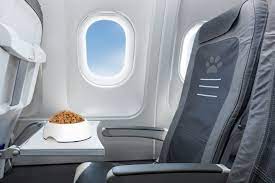 The Most Unforgettable Airline Meal: 'Dog Food'?